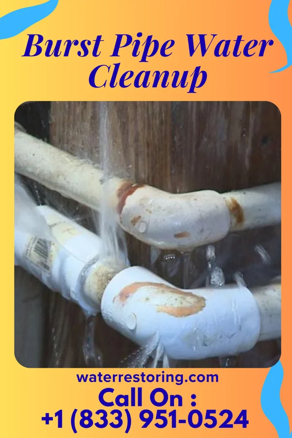 Burst Pipe Water Cleanup in Lovelock, NV