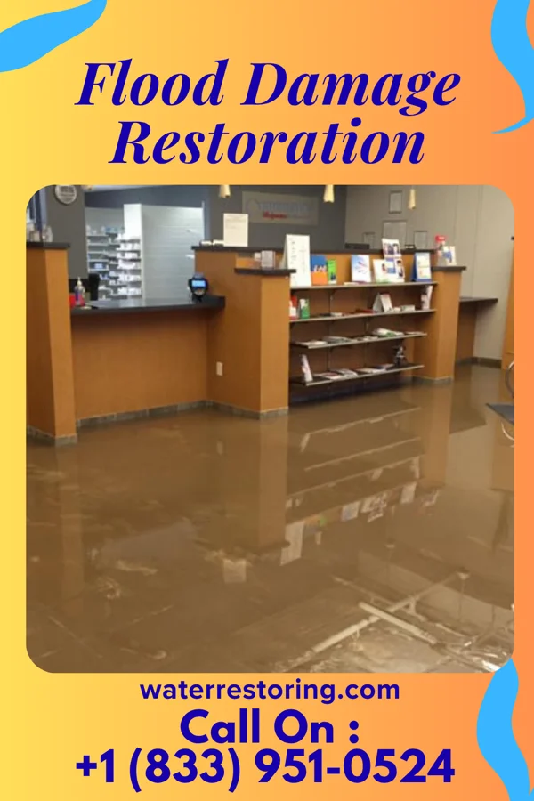 Flood Damage Restoration in Lovelock, NV