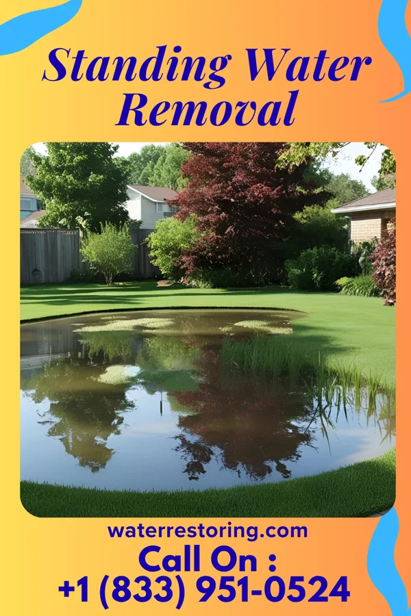 Standing Water Removal in Lovelock, NV